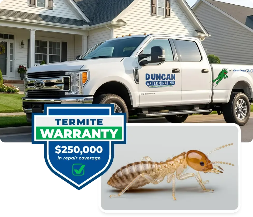 termite warranty